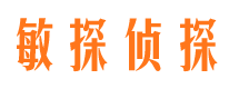 平和资产调查